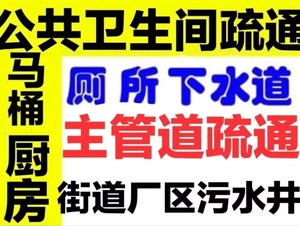 泸州小蚂蚁网最新招聘动态，机遇与挑战并存的人才招募之旅