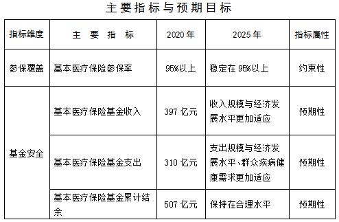 东源县医疗保障局最新发展规划概览