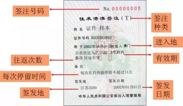 澳门今晚必开一肖一特,功能性操作方案制定_5DM39.948