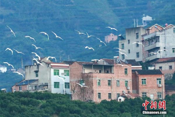 庄河市住房和城乡建设局最新发展规划揭秘