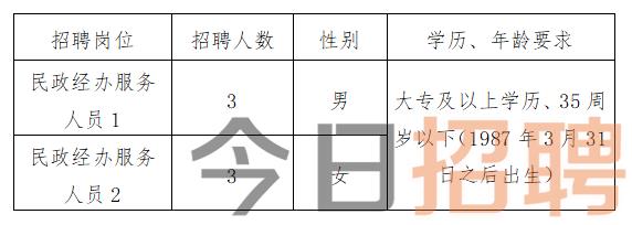 神林乡最新招聘信息全面概览